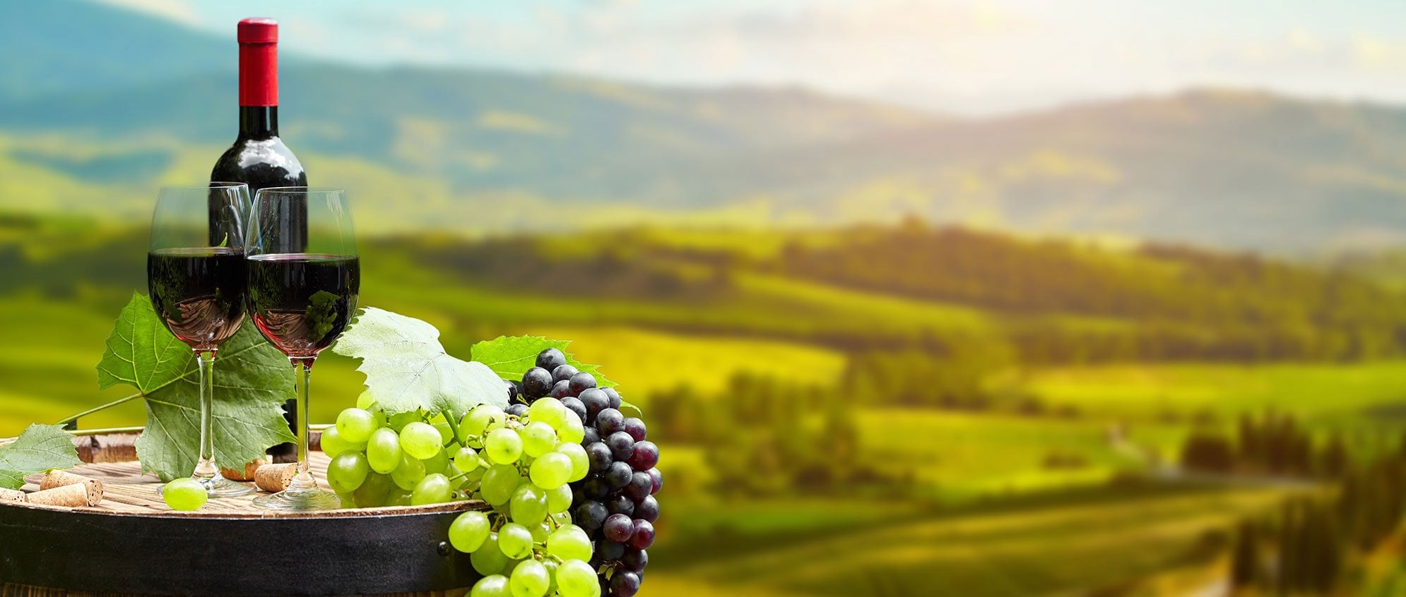 Wine History