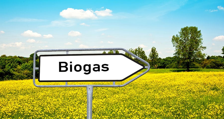 Doğanın Mavi Enerjisi: Biyogaz